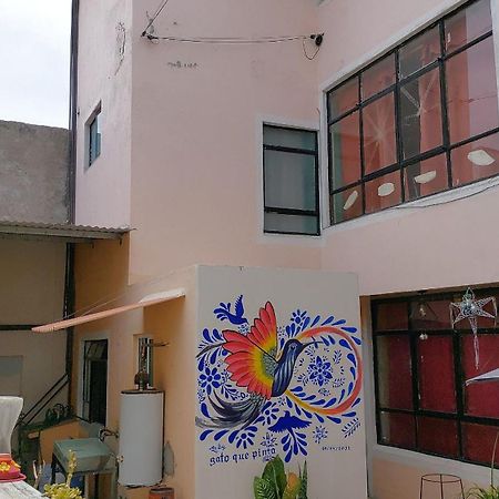Vila Casa El Colibri Cec Tehuacán Exteriér fotografie